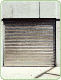 Expert Garage Doors Repairs Bronx, NY 347-735-5132 - sb-services-02